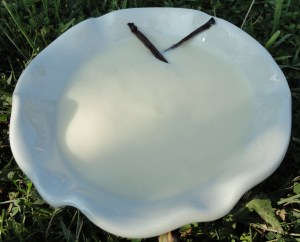 Vaniljkräm