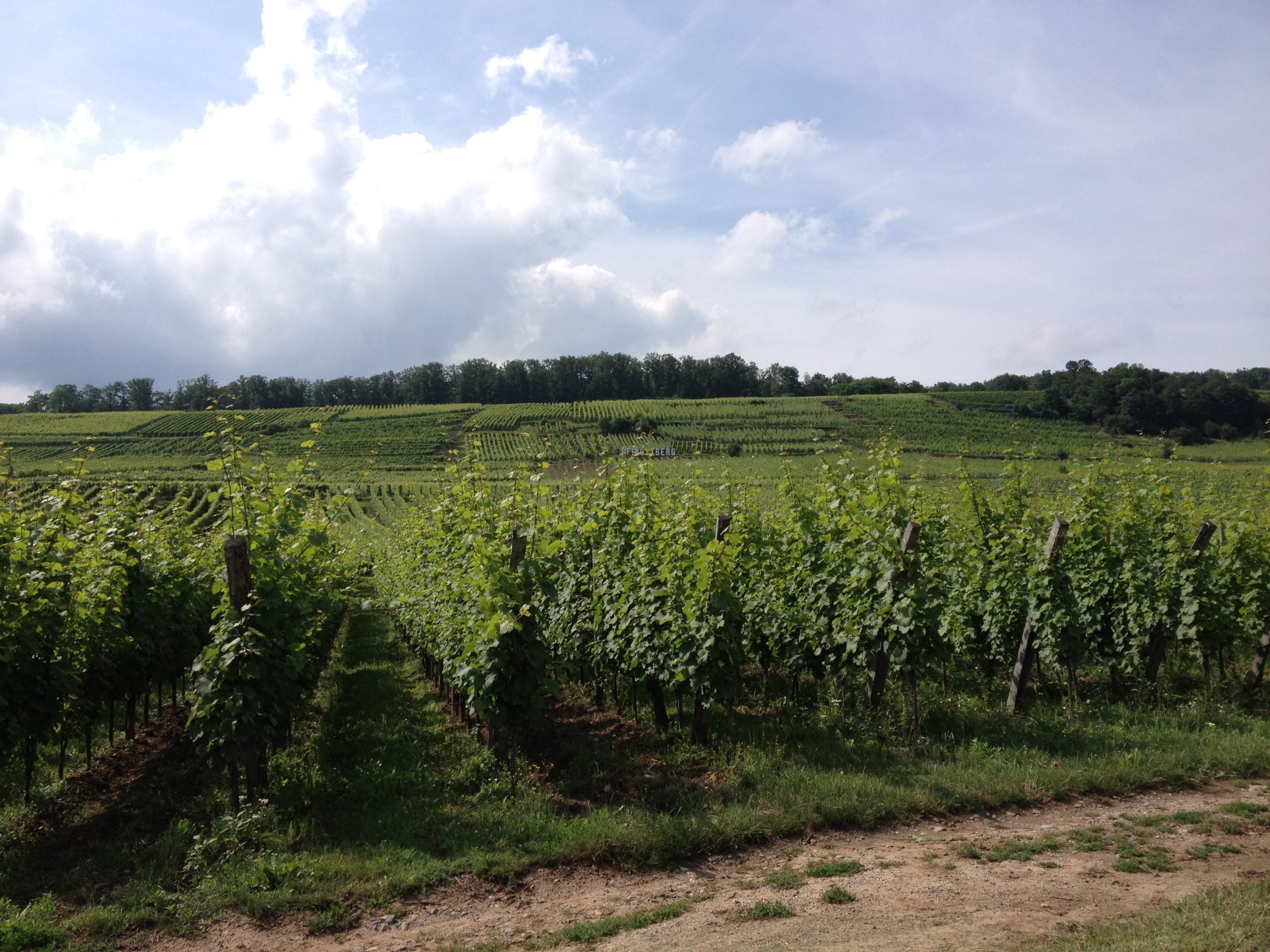 20120720-174747.jpg