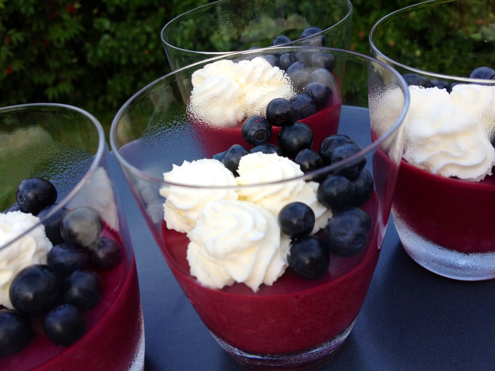 Blåbärspannacotta