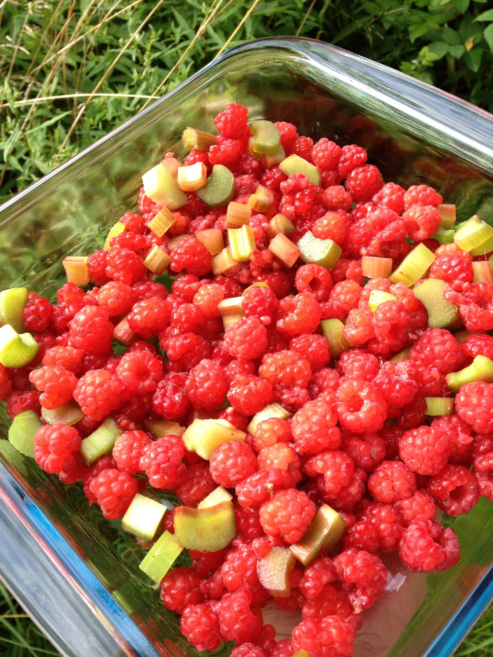 20120815-211653.jpg
