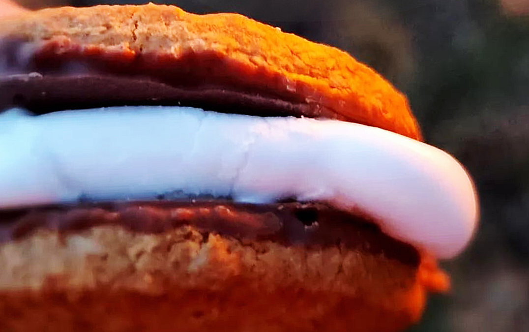 Glutenfria s’mores