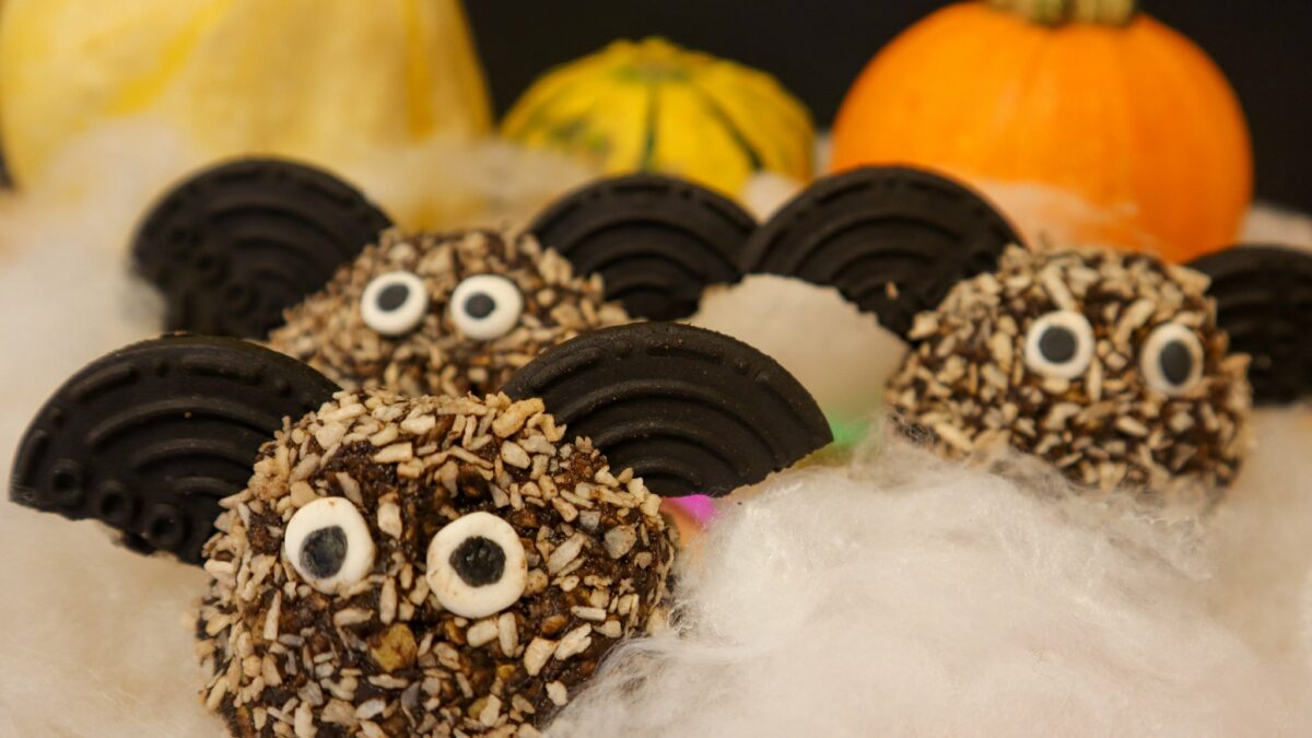 Chokladbolls fladdermöss