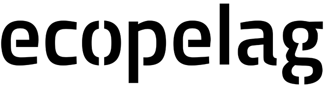 Hemsida